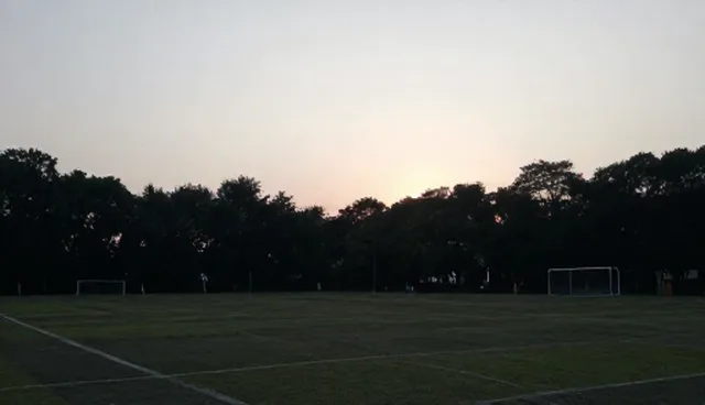 短视频运营中的常见误区与正确理解